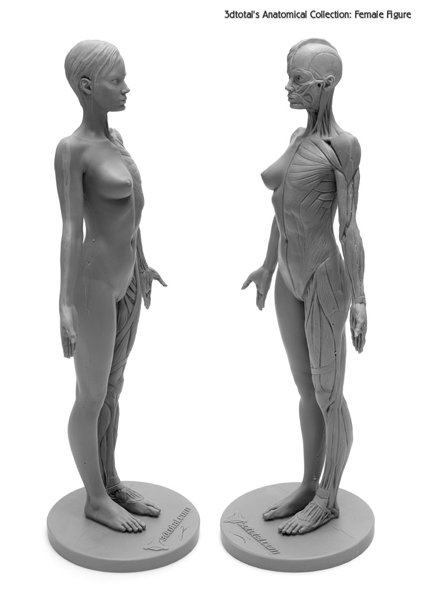 Pikseldused: 3dtotal's Female Figure is...